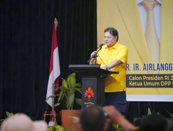 Anies Baswedan soal Airlangga-Golkar Tak Dukung di Pilpres