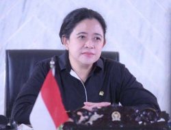 Puan Maharani Soal Tuduhan Food Estate Kejahatan Lingkungan: Masih Terlalu Jauh
